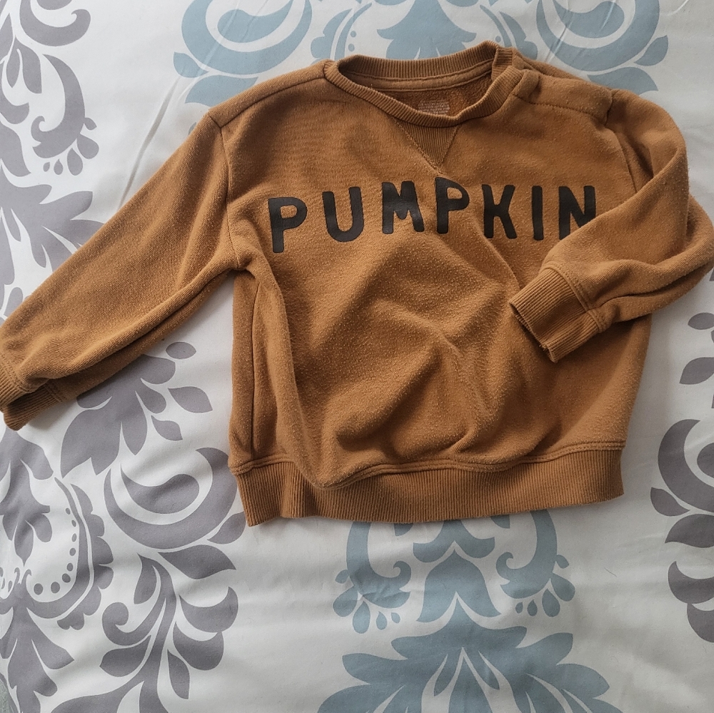 Little Co. Pumpkin sweatshirt